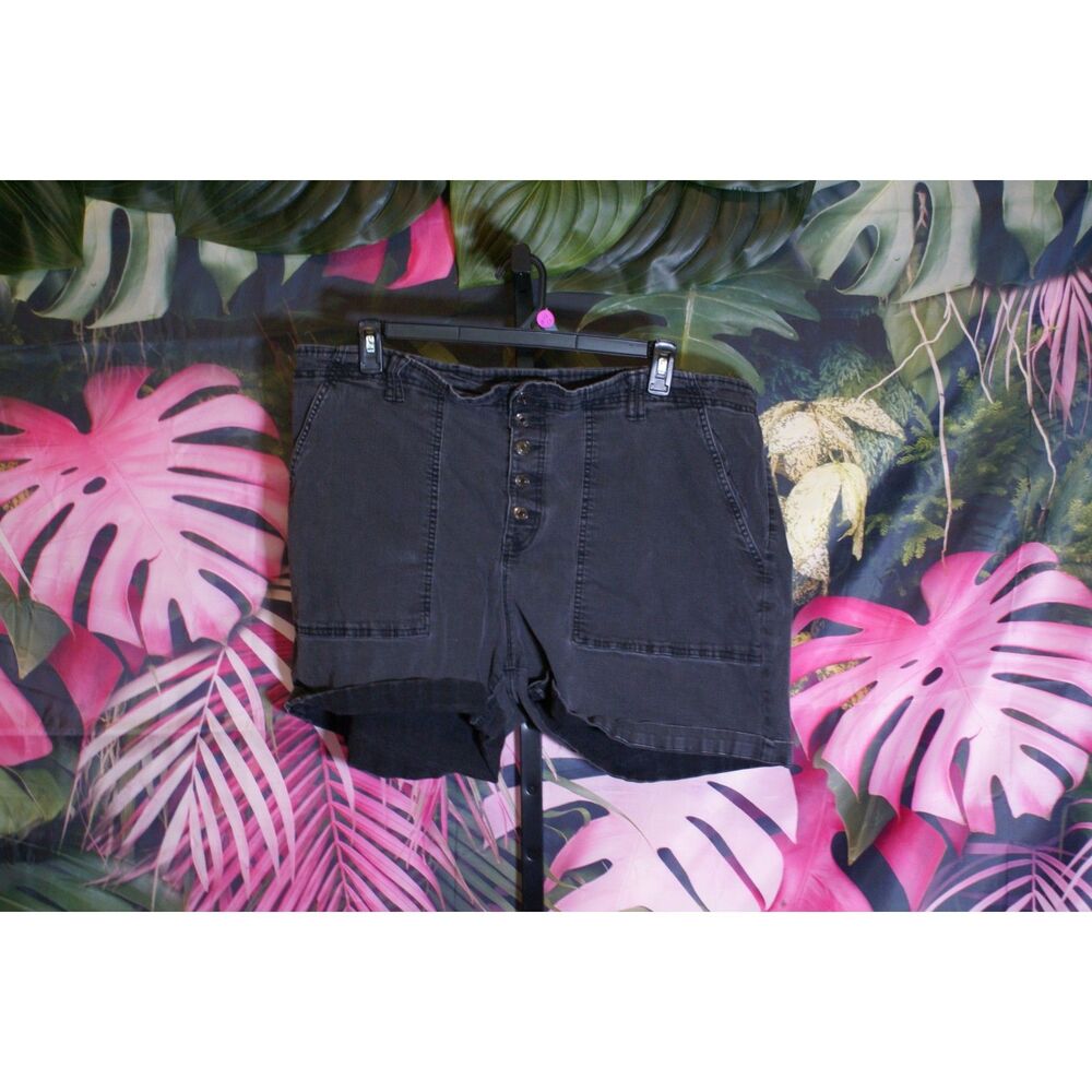 Terra and sky size 24 shorts